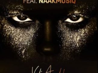 Dj Thakzin – Vul’amehlo Ft. Naak Musiq