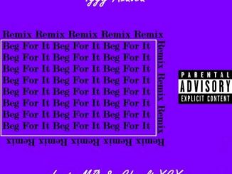 Iggy Azalea – Beg For It (feat. MØ & Charli XCX) (Remix)