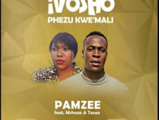 Pamzee – Ivosho Phezu Kwemali Ft. Mshoza, Tzozo