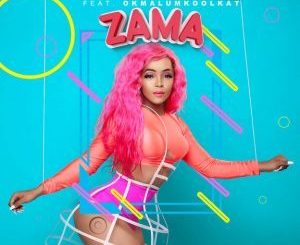 TDK Macassette – Zama Ft. Okmalumkoolkat & RudeBoyz