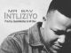 Mr Bav – Intliziyo