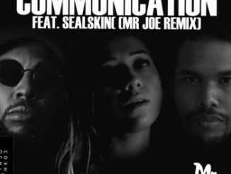 Mr. Blasé - Communication (Mr Joe Remix) Ft. Sealskin