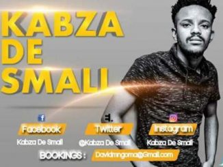 Kabza De Small – Umguzuguzu (Remix)