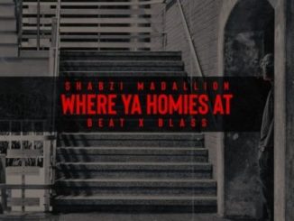 ShabZi Madallion - Where Ya Homies At