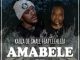 Kabza De Small – Amabele Shaya (Original Mix) Ft. Leehleza