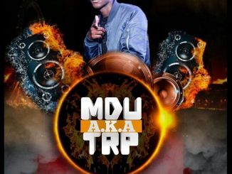 Mdu a.k.a TRP – Dlala Stoks (Remix)