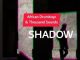 African DrumBoyz & Thousands Sounds - Shadow