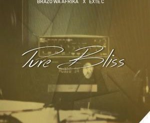 Brazo Wa Afrika & Exte C – Pure Bliss