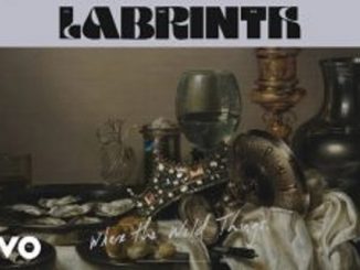 Labrinth – Where The Wild Things