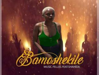 Music Fellas – Bamoshekile Ft. Shahida