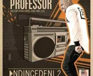 Professor – Ndincedeni 2 Ft. Dalom Kids, MSK & Mr Luu