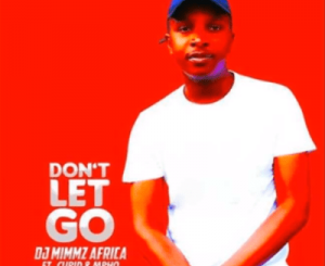 Dj Mimmz Africa – Don’t Let Go Ft. Cupid & Mpho