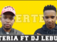 Luxerteria – Ditshele Ft. DJ Leburu