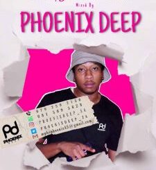 Phoenix Deep – The New Age Fundamentals Volume 13