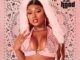 Megan Thee Stallion – Girls in the Hood