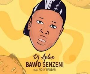 DJ Aplex SA – Bawo Senzeni Ft. Ricky Randar