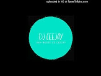 Dj Ceejay - Endless Journey Ft. Afro Masters