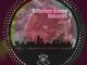 Afrinative Soul – VA Different House Record9