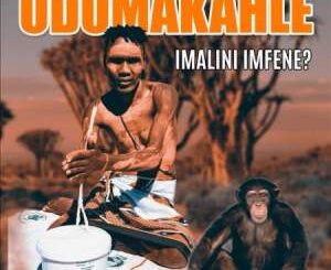 Dumakahle – Imalini Imfene