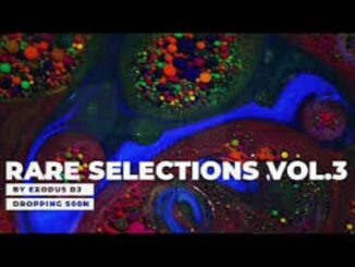 Exodus Deejay – Rare selections Vol.3