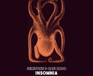 SEMITONE - INSOMNIA (ORIGINAL MIX) FT. RAFI NADO