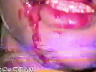 ALBUM: Lil Tracy - Tracy's World