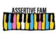 Assertive Fam – Khanisiveni