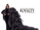 ALBUM: Tasha Cobbs Leonard - Royalty: Live At The Ryman