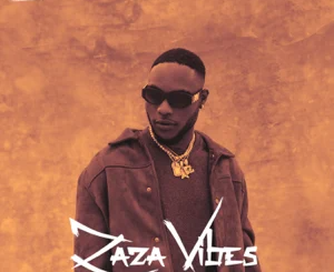 ALBUM: L.A.X – ZaZa Vibes