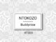 Buddynice – Ntokozo (Redemial Mix)