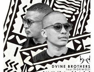 Dvine Brothers – Woza Mali (Eltonnick Remix) Ft. Nokwazi