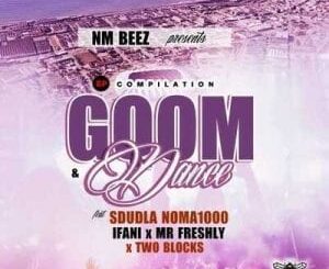 Sdudla Noma1000 – Thuma Mina Ft. Dj Calvin