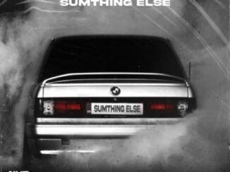 Sumthing Else – Nuz Ft. Professor, Emza & Shavul