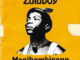 ALBUM: Zuluboy – Masihambisane