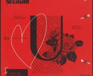 DJ Venom – U Ft. Le Paris, Daecolm & Tyler ICU