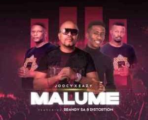 BrandySA – Malume Ft. Joocy, Distortion & Eazy