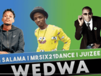 King Salama – Wedwa (Original) Ft. Mr Six21 DJ Dance & Juizee SA