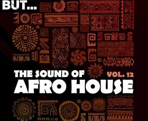 Nothing But… – The Sound of Afro House, Vol. 12