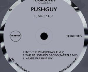 Pushguy – Where Nothing Grows (Original Mix)