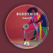 Buddynice – Idlozi Lam (Original Mix)