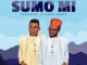 don-malume-–-sumo-mi-ft.-zuluboy