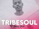 tribesoul-nkulee501-–-someday-ft-philharmonic