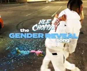 NLE-Choppa-The-Gender-Reveal-Song