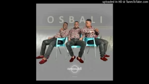 DOWNLOAD-OSbali-–-Inhliziyo-Yami-–.webp