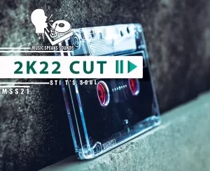 STI-Ts-Soul-–-2k22-Cut-Remixes