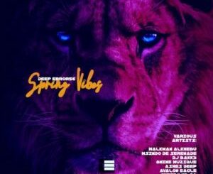 various-artists-–-deep-error56-spring-vibes