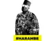 HHP-–-Harambe-Vol.-2-EP