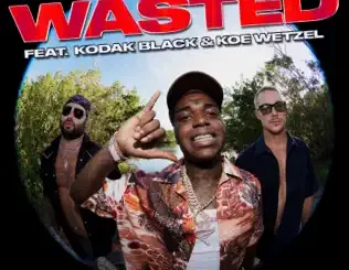 Diplo - Wasted (feat. Kodak Black & Koe Wetzel)