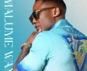 DJ Tira & Xowla – Cela S’khulume ft Lwah Ndlunkulu