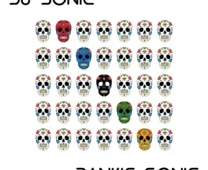 Dj Sonic – Dankie Sonic